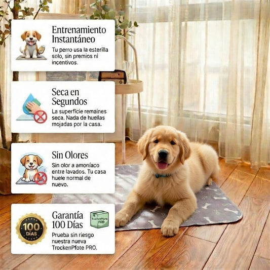 La almohadilla de Entrenamiento para cachorros InstintoPad™